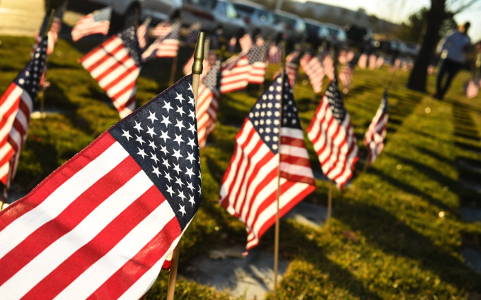 Rows of small American flags planted in the grass in late afternoon sun